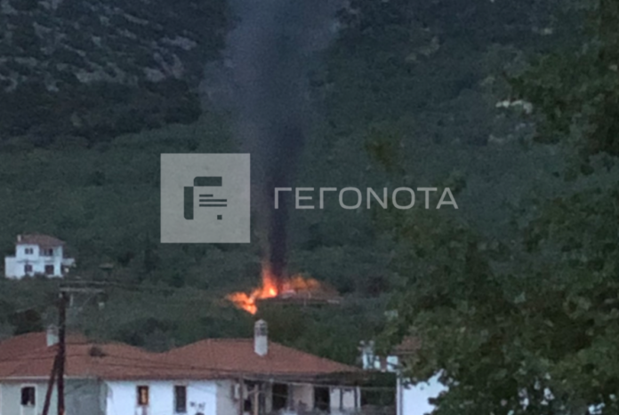 fwtia2 e1697650498964.png