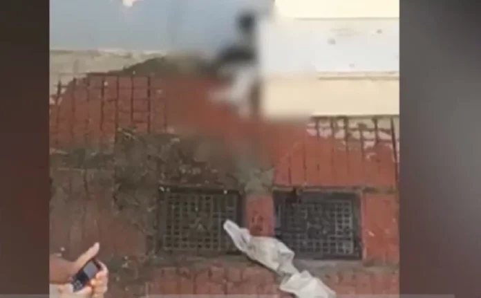 gatia.webp.webp