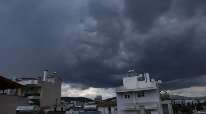 2901793 780x432 1.webp.webp