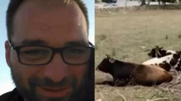 Μύκονος Πώς ο 39χρονος έχασε τη ζωή του όταν έπεσε.webp.webp.webp