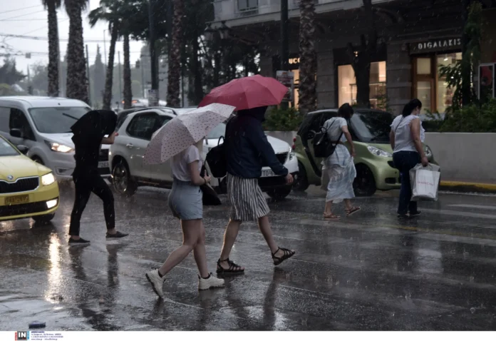 3193369 scaled.webp.webp