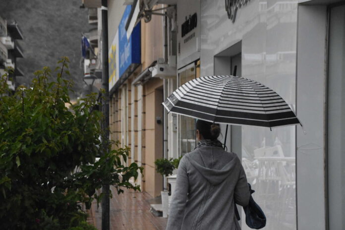 kakokairia scaled.jpg