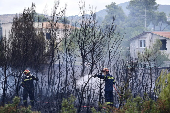 fotia eurok98 scaled.jpg