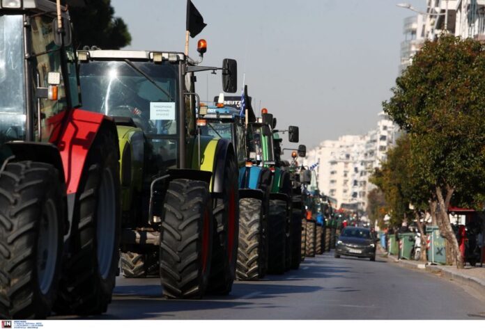 1707485991 agrotes 100.jpg