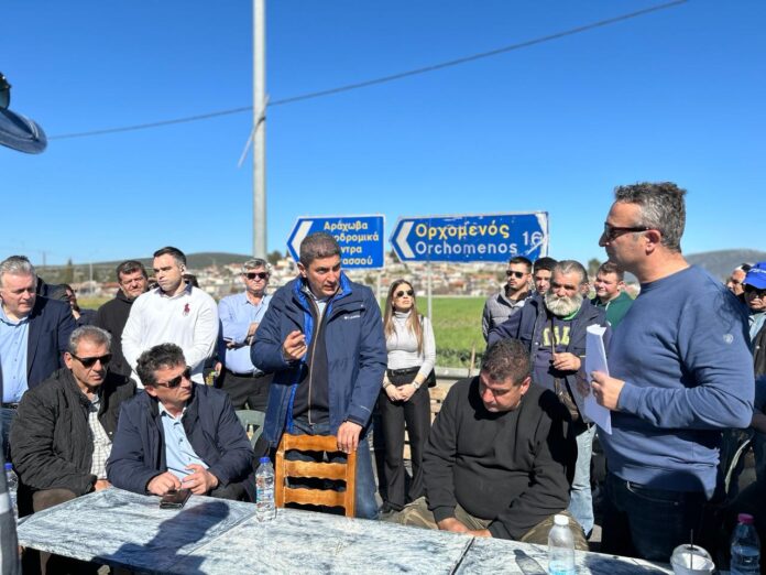 avgenakis agrotes 5.jpg