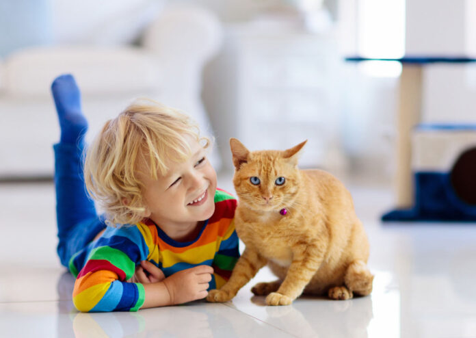 istock 1278217266 2.jpg