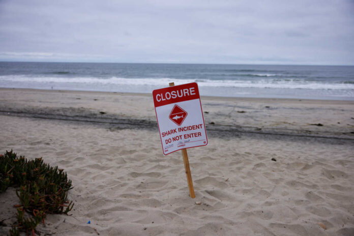 california shark attack reuters 1200x800.jpg