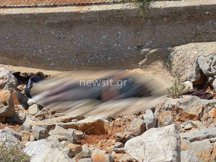 mosley.jpg