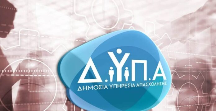 dypa2 1.jpg