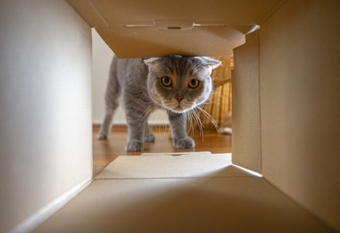 istock 1326495835.jpg