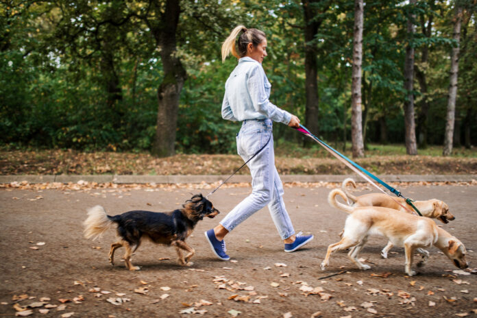 istock 1717007444.jpg