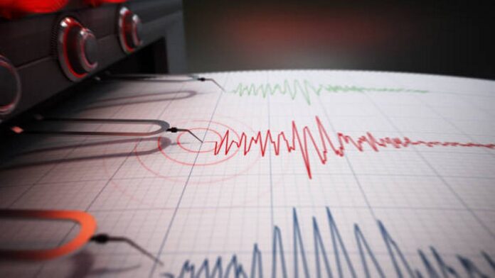 istockphoto 1461043009 612x612 1.jpg