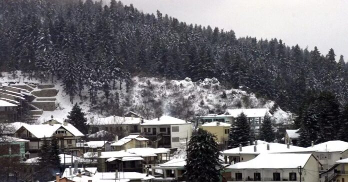 elati pertouli trikala 1200x630.jpg