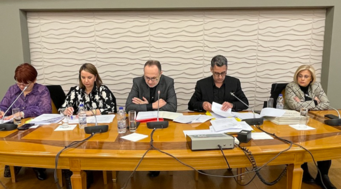 Στιγμιότυπο οθόνης 2025 03 22 133105.png