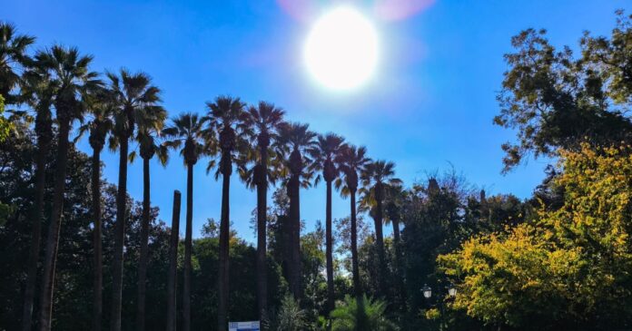 weather 1200x630.jpg