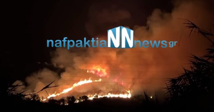fwtia naupaktia 1200x630.jpg