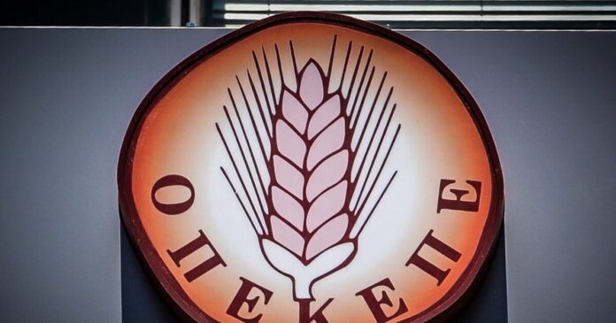 opekepe 4 1200x630.jpg