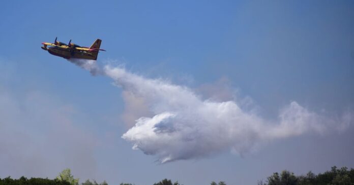fotia 1200x630.jpg