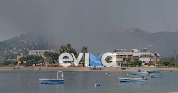 fotia euvoia 1200x630.jpg