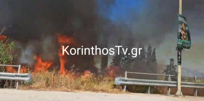 fotia korinthos 3.webp.webp