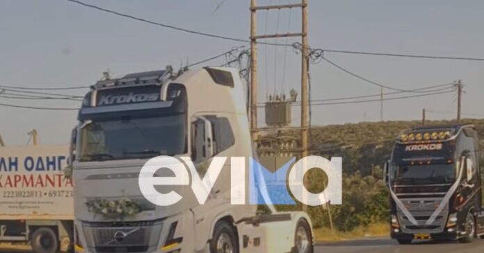 gamos aliveri 2 1200x630.jpeg