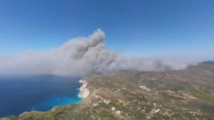 zakynthos fotia 1 732x412.jpg