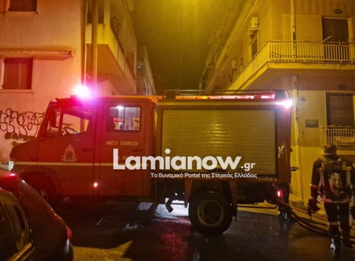 fotia lamia 2.jpg