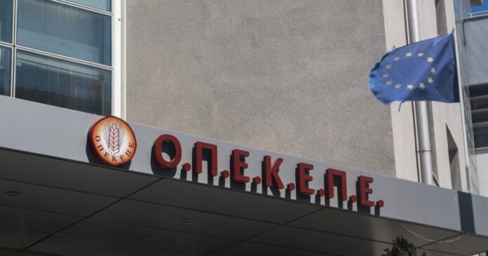 opekepe 1 1200x630.jpg