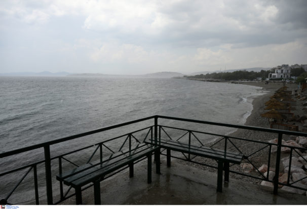 kakokairia 4 606x412.jpg kakokairia 4 606x412.jpg