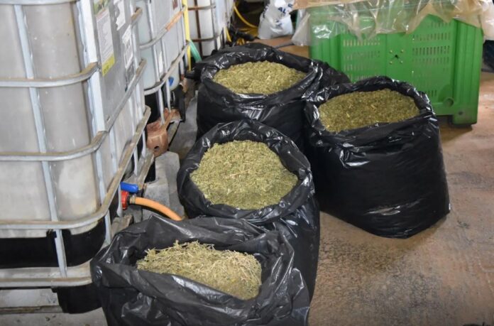 messinia2 1.jpg messinia2 1.jpg