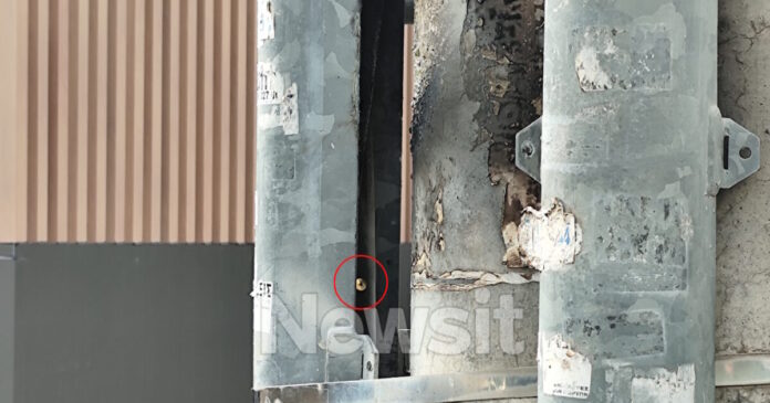 pineza metamorfosi345 1200x630.jpg