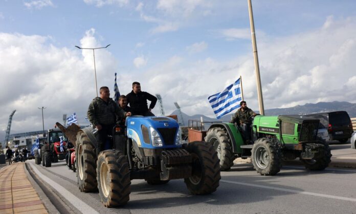 10644938 agrotes.jpg