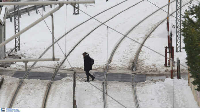 2652059 1 732x412.jpg