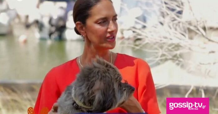 41b01391 image 40 og.jpg