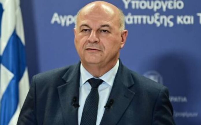 befunky collage234dfvsf 2025 12 20t142550.661.jpg