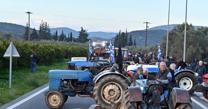 agrotes eurok 7 1200x630.jpg