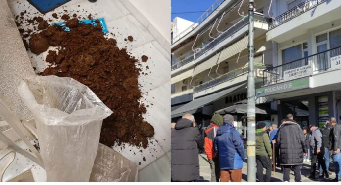 agrotes konstantinidis.jpg