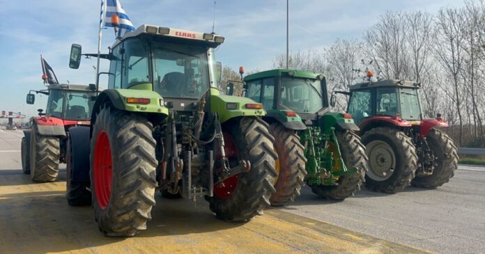 agrotes malgara 1200x630.jpeg