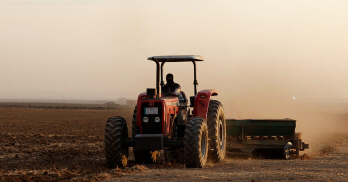 agrotes reuters 1200x630.jpg