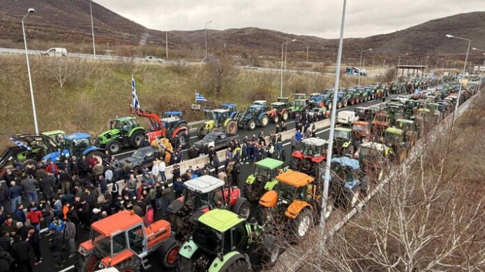 agrotes siatista 3.jpg