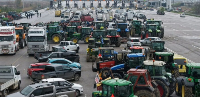 agrotes teloneio 1.jpg