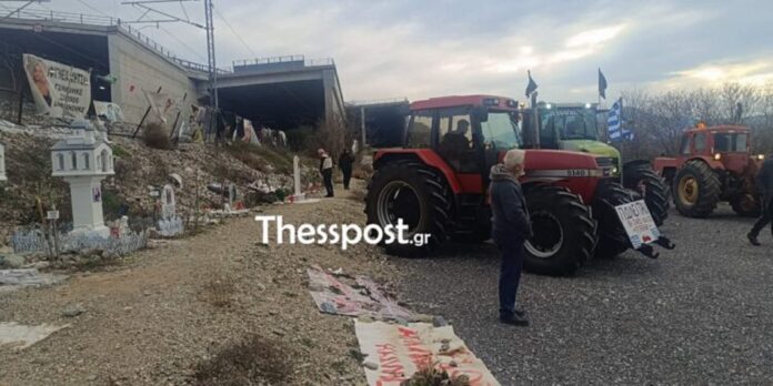 agrotes tempi 22.jpg