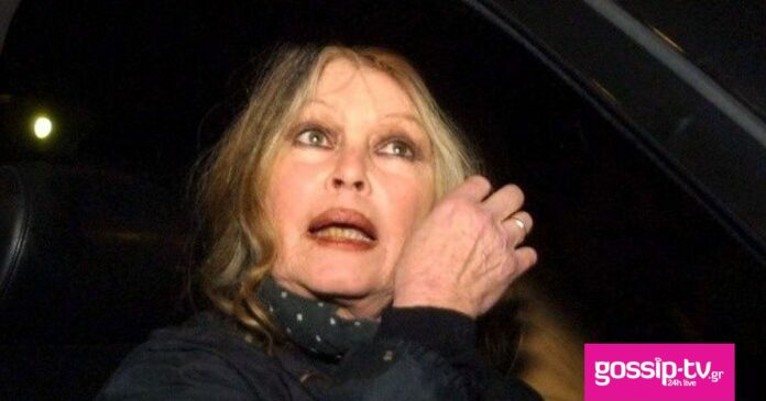 b9806834 bardot ape mpe.jpg