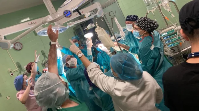 dorea organon.webp.webp