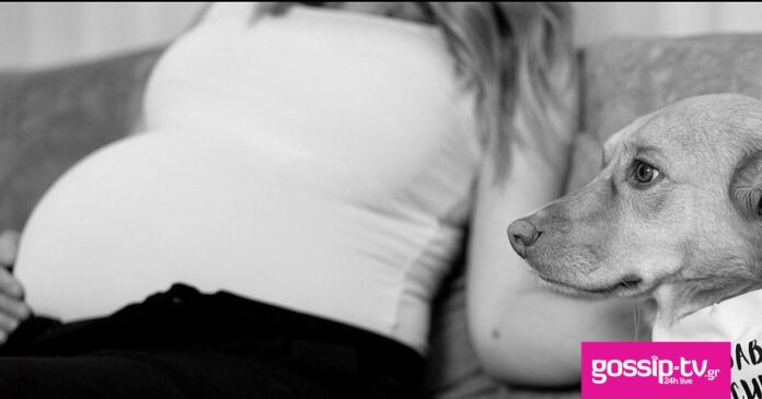 e4168ebe 602518757185523618340246271569914937568817551n og.jpg