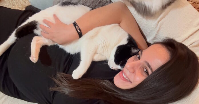 eulampia revi 1 1200x630.jpg