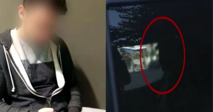 foinikounta kentriki 1.jpg