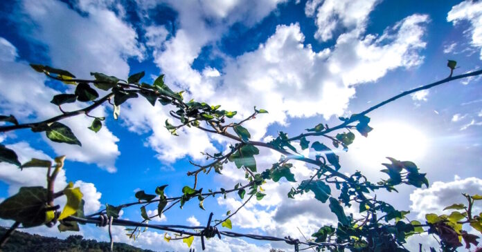 kairos 3 2 1200x630.jpg