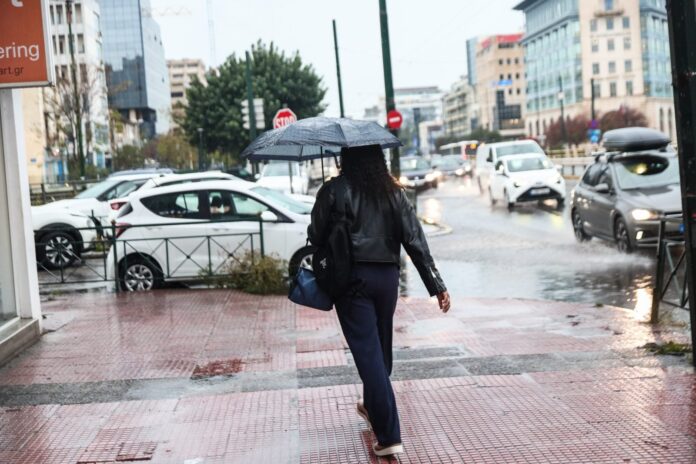 kakokairia broxes kataigides 5 1.jpg