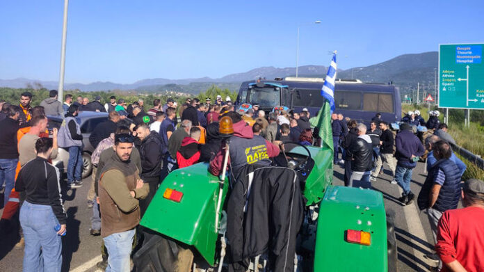 messinia agrotes 7.jpg